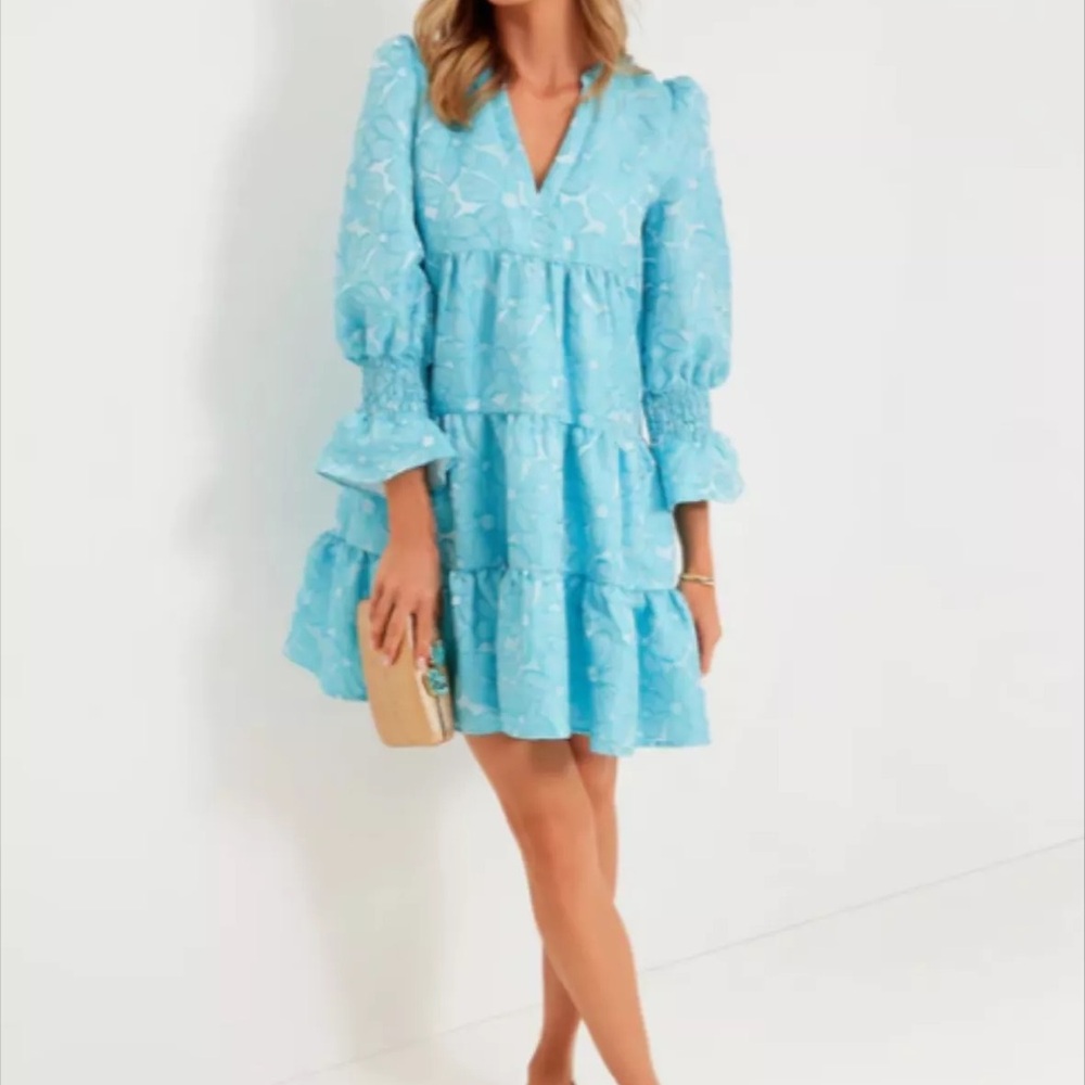 Nwt Tuckernuck Blue Daisy Jacquard Kenzo Dress